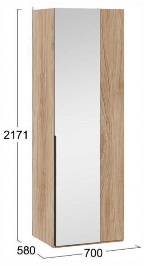 Шкаф платяной Порто СМ-393.07.007 в Елабуге - elabuga.ok-mebel.com | фото 4