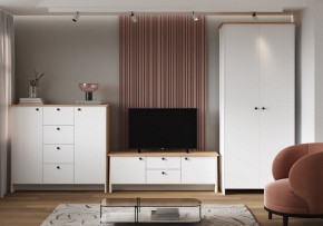Шкаф платяной Теодора в Елабуге - elabuga.ok-mebel.com | фото 4