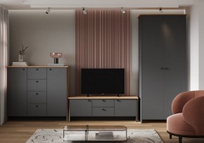Шкаф платяной Теодора в Елабуге - elabuga.ok-mebel.com | фото 3