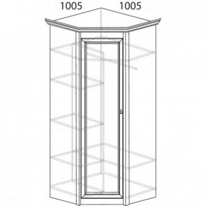 Шкаф угловой №662 "Флоренция" Фасад глухой (угол 1005*1005) Дуб оксфорд в Елабуге - elabuga.ok-mebel.com | фото 3
