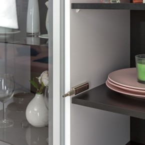 Шкаф-витрина 13.201 Сидней в Елабуге - elabuga.ok-mebel.com | фото 2