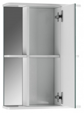 Шкаф-зеркало Норма 2-50 правый АЙСБЕРГ (DA1608HZ) в Елабуге - elabuga.ok-mebel.com | фото 2