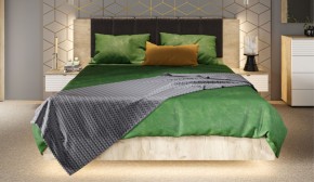 Спальня Джулия Кровать 160 МИ с подъемным механизмом Дуб крафт серый в Елабуге - elabuga.ok-mebel.com | фото 4