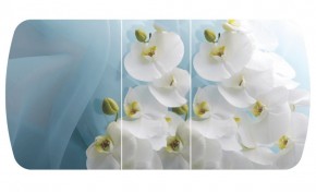 Стол Бостон-3 (Белая Орхидея) 1100/1420*700, опора Брифинг в Елабуге - elabuga.ok-mebel.com | фото 2
