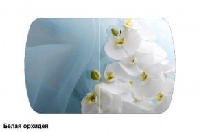 Стол Бостон 900*600 (опоры Брифинг) Стекло/фотопечать Белая Орхидея в Елабуге - elabuga.ok-mebel.com | фото
