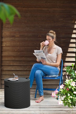 Столик-холодильник Кул-Стул (Cool stool) графит в Елабуге - elabuga.ok-mebel.com | фото