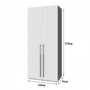 СТОУН С22 Шкаф 2-х створчатый (серый дуб/белый) в Елабуге - elabuga.ok-mebel.com | фото 2