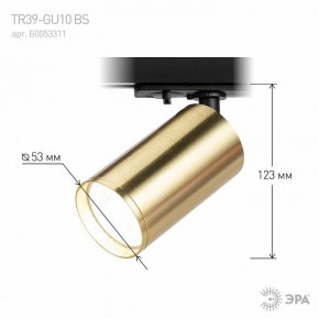 Светильник на штанге Эра  TR39-GU10 BS в Елабуге - elabuga.ok-mebel.com | фото 6