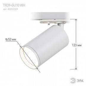 Светильник на штанге Эра  TR39-GU10 WH в Елабуге - elabuga.ok-mebel.com | фото 7
