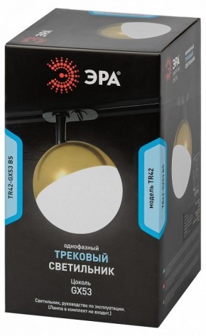 Светильник на штанге Эра  TR42-GX53 BS в Елабуге - elabuga.ok-mebel.com | фото 6