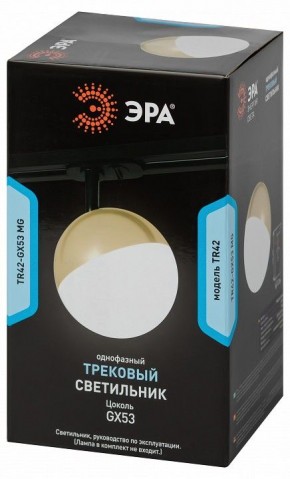 Светильник на штанге Эра  TR42-GX53 MG в Елабуге - elabuga.ok-mebel.com | фото 6