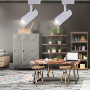 Светильник на штанге Эра  TR5-20 COB WH в Елабуге - elabuga.ok-mebel.com | фото 4