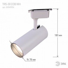 Светильник на штанге Эра  TR5-30 COB WH в Елабуге - elabuga.ok-mebel.com | фото 6