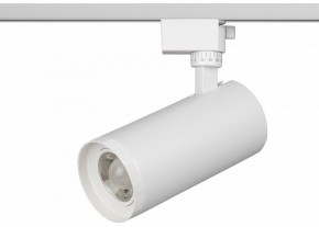 Светильник на штанге Эра  TR59 - 3030 WH в Елабуге - elabuga.ok-mebel.com | фото 2