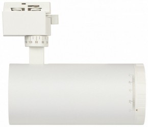 Светильник на штанге Эра  TR59 - 3030 WH в Елабуге - elabuga.ok-mebel.com | фото 4