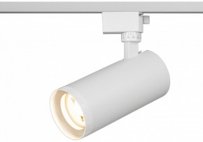 Светильник на штанге Эра  TR59 - 3030 WH в Елабуге - elabuga.ok-mebel.com | фото 5