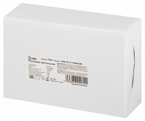 Светильник на штанге Эра  TRM-S5-3-12W4K-BK в Елабуге - elabuga.ok-mebel.com | фото 8