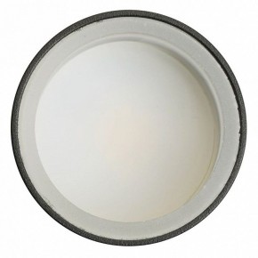 Светильник на штанге Feron ML1001 51371 в Елабуге - elabuga.ok-mebel.com | фото 4