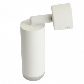 Светильник на штанге Feron ML1021 51390 в Елабуге - elabuga.ok-mebel.com | фото 3