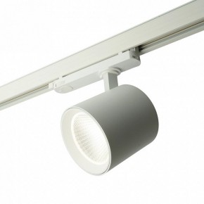 Светильник на штанге Feron TR Reflex 52058 в Елабуге - elabuga.ok-mebel.com | фото 7