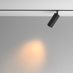 Светильник на штанге Maytoni Artisan TR097-2-12W2.7K-M-BB в Елабуге - elabuga.ok-mebel.com | фото 4