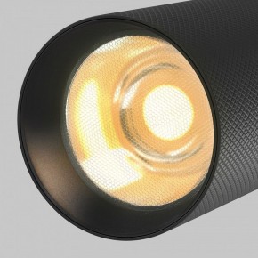 Светильник на штанге Maytoni Artisan TR097-2-12W2.7K-M-BB в Елабуге - elabuga.ok-mebel.com | фото 9
