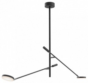 Светильник на штанге Maytoni Fad MOD070CL-L15B3K1 в Елабуге - elabuga.ok-mebel.com | фото