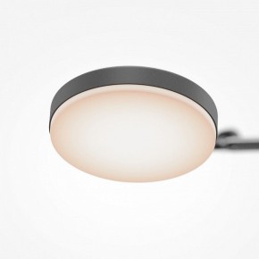 Светильник на штанге Maytoni Fad MOD070CL-L15B3K1 в Елабуге - elabuga.ok-mebel.com | фото 7