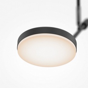Светильник на штанге Maytoni Fad MOD070CL-L8B3K в Елабуге - elabuga.ok-mebel.com | фото 4