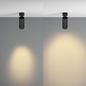 Светильник на штанге Maytoni Focus Zoom C055CL-L12W2.7K-Z-B в Елабуге - elabuga.ok-mebel.com | фото 3