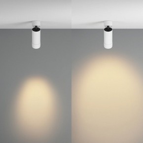 Светильник на штанге Maytoni Focus Zoom C055CL-L12W2.7K-Z-W в Елабуге - elabuga.ok-mebel.com | фото 3