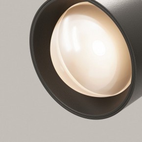 Светильник на штанге Maytoni Lens TR217-2-15W3K-B в Елабуге - elabuga.ok-mebel.com | фото 12