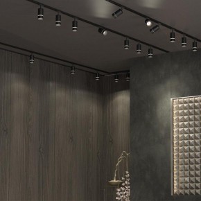 Светильник на штанге Novotech Elina 370777 в Елабуге - elabuga.ok-mebel.com | фото 4