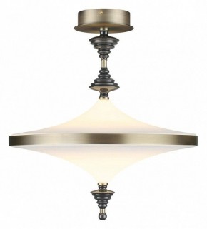 Светильник на штанге Odeon Light Ula 5404/43CL в Елабуге - elabuga.ok-mebel.com | фото 2