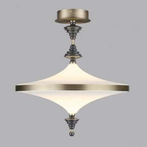 Светильник на штанге Odeon Light Ula 5404/43CL в Елабуге - elabuga.ok-mebel.com | фото 3