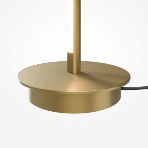 Торшер Maytoni Thin MOD395FL-L28BS3K в Елабуге - elabuga.ok-mebel.com | фото 7