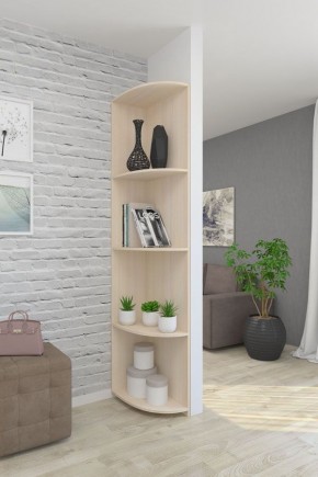 Угловой элемент (300*550*2200) в Елабуге - elabuga.ok-mebel.com | фото