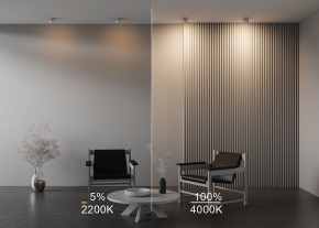 Встраиваемый светильник Maytoni Onda DL024-12W-DTW-W в Елабуге - elabuga.ok-mebel.com | фото 10